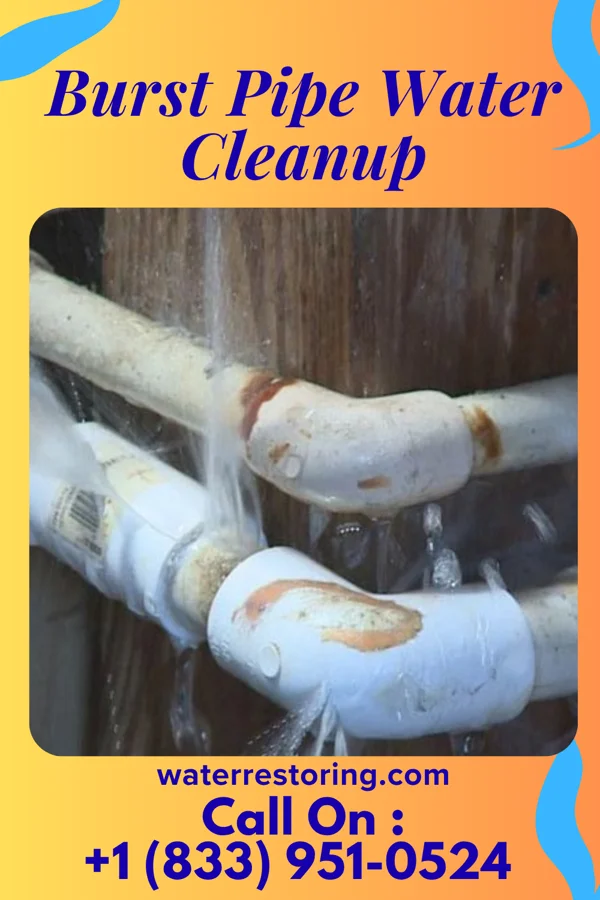 Burst Pipe Water Cleanup in Adamsburg, PA