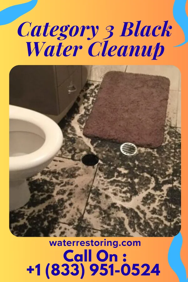 Category 3 Black Water Cleanup in Adamsburg, PA