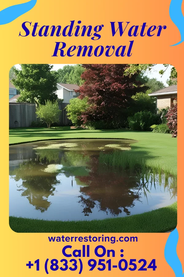 Standing Water Removal in Adamsburg, PA